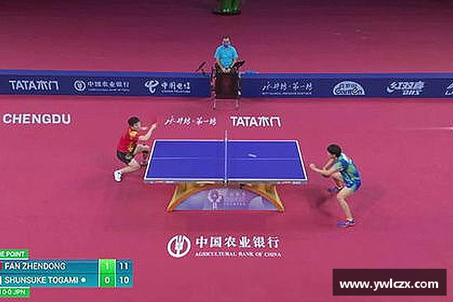 认识6686体育首页